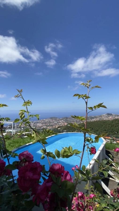 Studio Geek Villa - Open Space - 5M From 5 Top Attractions - Pool All Year Round, Dining Pergola, Barbecue - Funchal Matrix Holiday Home Ngoại thất bức ảnh